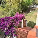 Hébergement de vacances Beachhouse Casa Del Mare Sardegna Budoni